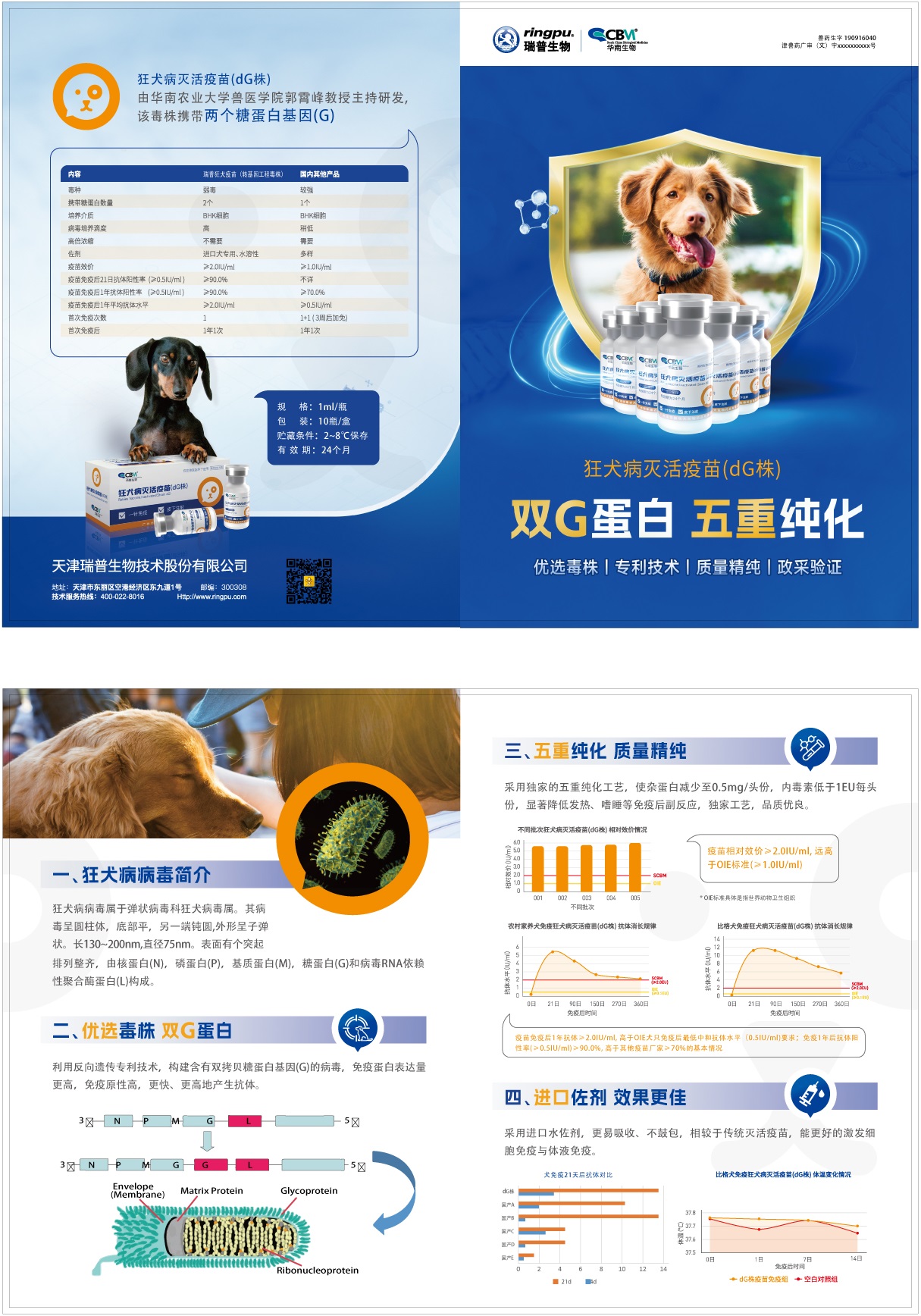 20241111犬泰三折頁(yè)A4-2.0(1).jpg