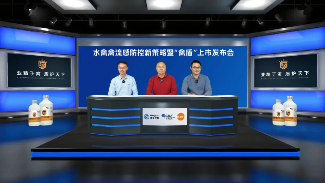 91801d78-ae89-4110-9175-d7bba0408054.png